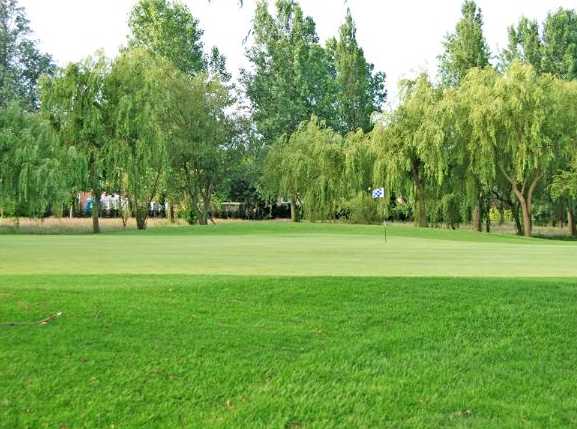 Windmill Hill Golf Centre - photo 7