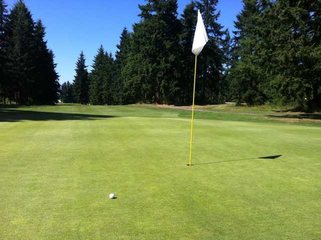 Lipoma Firs Golf Course - photo 5