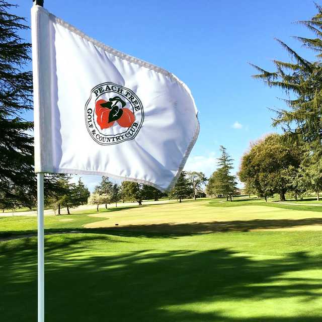 Peach Tree Golf & Country Club - photo 2