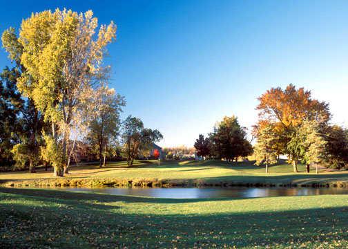 Stonebridge Golf Club - MI - photo 4