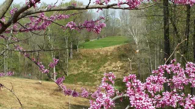 Little Bennett Golf Course - photo 4