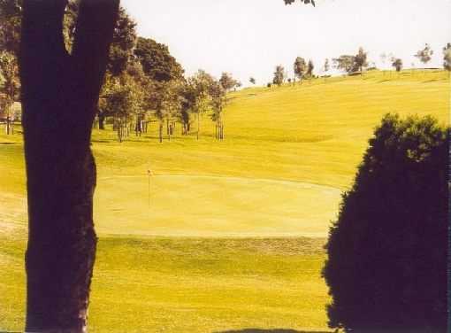 Clydebank & District Golf Club - photo 6