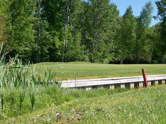 Mullett Lake Country Club - photo 2