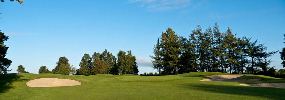 Nenagh Golf Club - photo 6