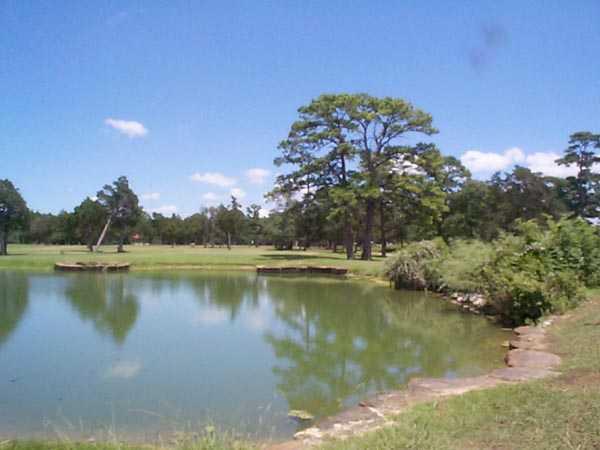 Lost Pines Golf Club - photo 1
