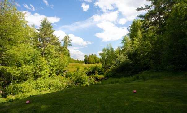 Bethel Inn & Country Club - photo 3
