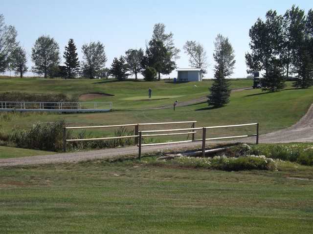 Acme Golf Club - photo 5