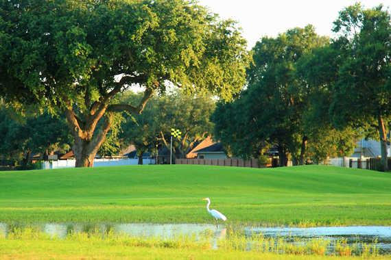 St. Mary Golf and Country Club - photo 4