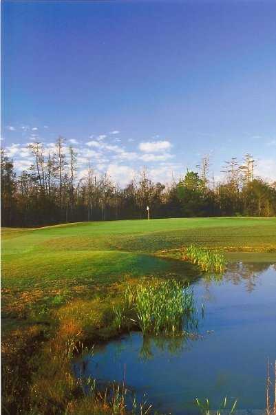 Heron Ridge - photo 4
