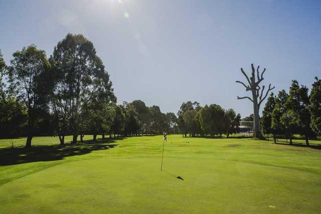 Tally Valley Golf Course - photo 4