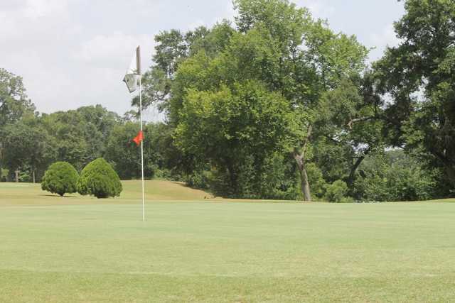 Gus Wortham Park - photo 4