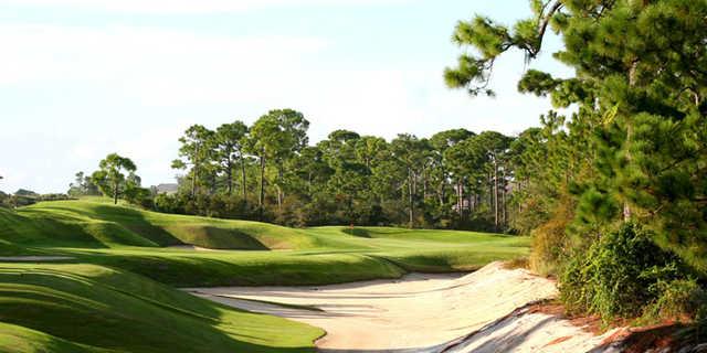 Loblolly - photo 3