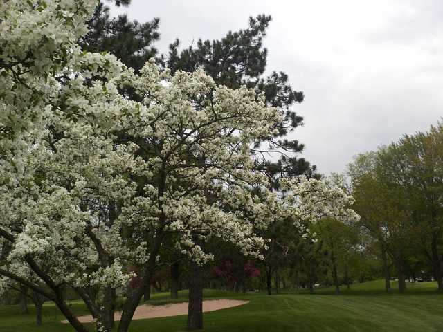 Wausau Country Club - photo 1