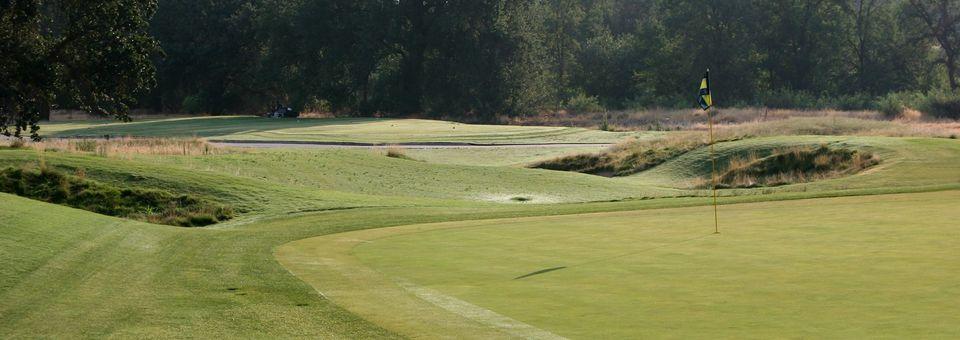 Dragonfly Golf Club - photo 6