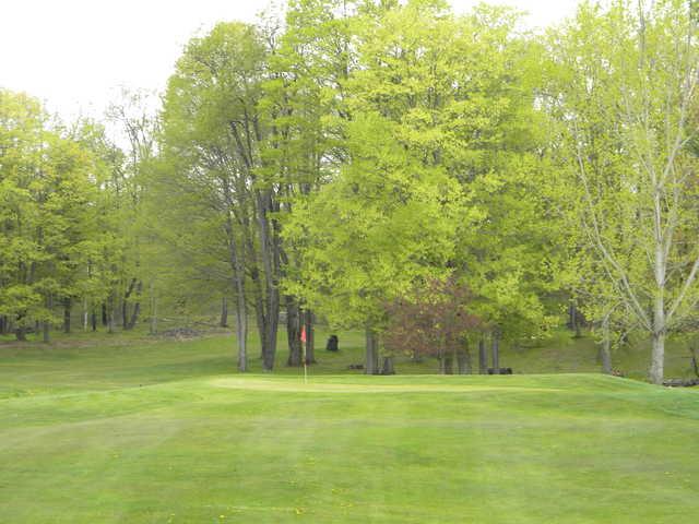 Willow Run Golf Course - photo 2