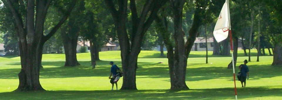 Brookland Golf Park - Executive - 9 Holes - photo 4