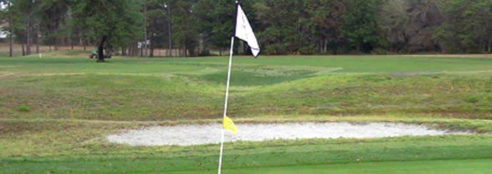 Lake Diamond Golf & Country Club - photo 3