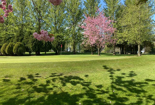 Rathdowney Golf Club - photo 2