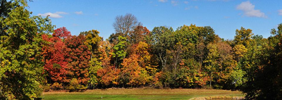 Warren Brook Golf Course - photo 3
