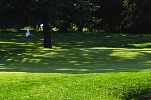 Locust Hill Country Club - photo 3