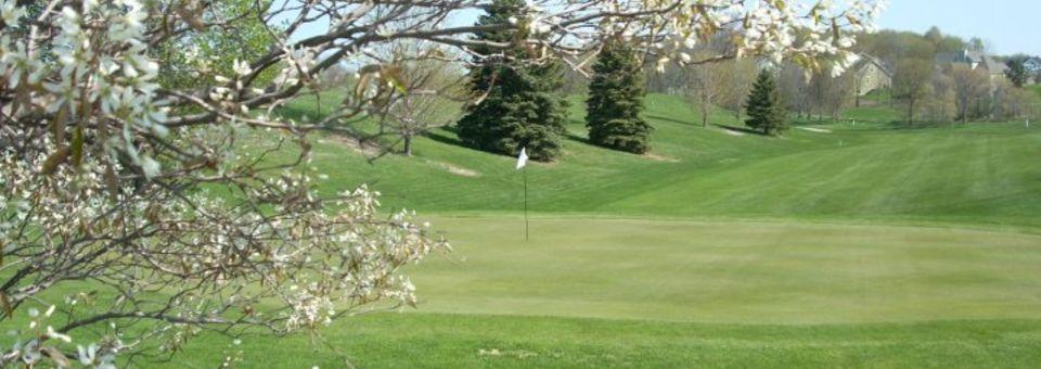 Elmbrook Golf Course - photo 6