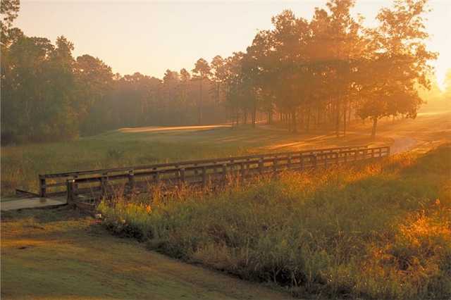 Brazell's Creek Golf Course - photo 3