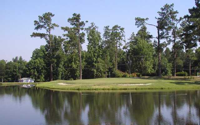 Shannon Greens Golf Club - photo 4