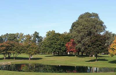 Green Oaks - photo 2
