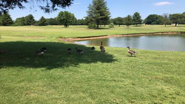 Eastland Green Golf Course - photo 1