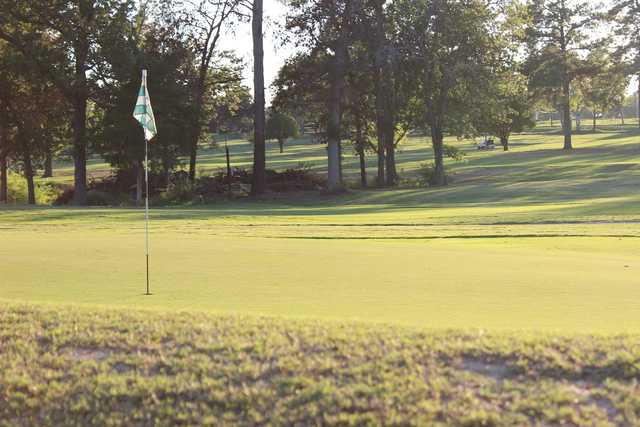 Alpine Golf Club - photo 2