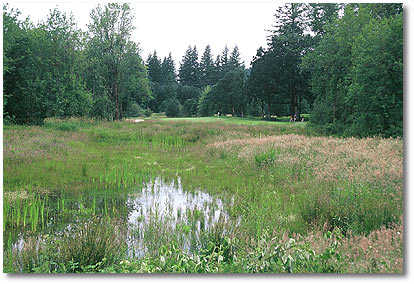 Camas Meadows Golf Club - photo 5