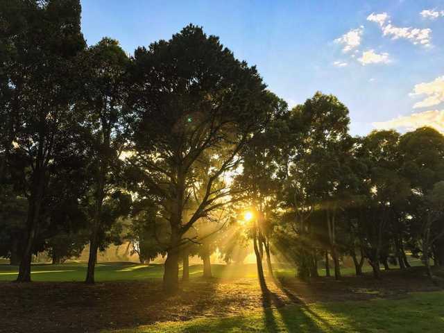Bexley Golf Club - photo 4