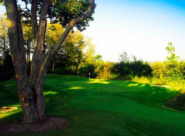 King's Bay Golf Club - photo 4