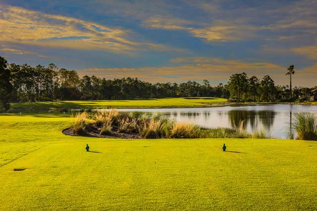 Plantation - photo 6