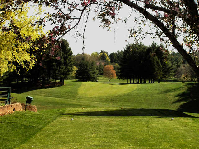 Athens Country Club - photo 4