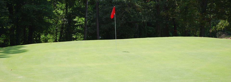 Stearns Heritage Golf Course - photo 4