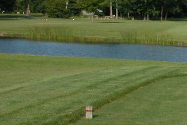 Beechwood Greens - photo 3