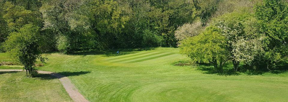 Scalm Park Leisure Golf Course - photo 4