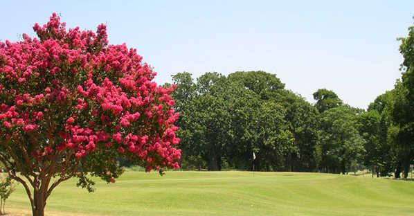 Stevens Park Golf Course - photo 8