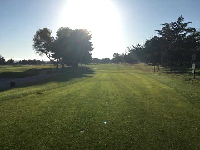 Monterey Pines Golf Club - photo 4