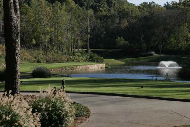 Bear's Best Atlanta - photo 3