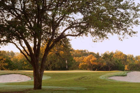 White Wing Golf Club - photo 2