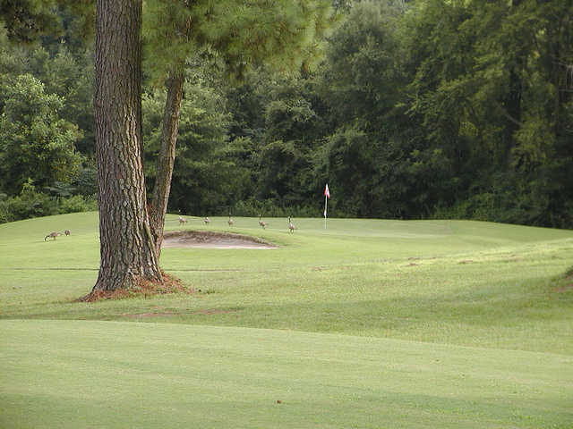 Plymouth Country Club - photo 3