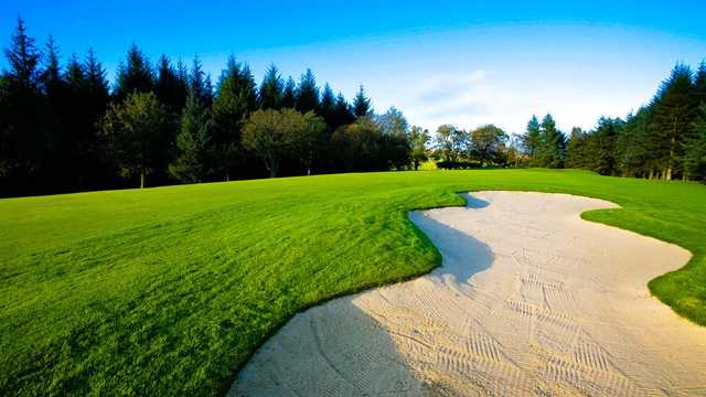 Balmore Golf Club - photo 3