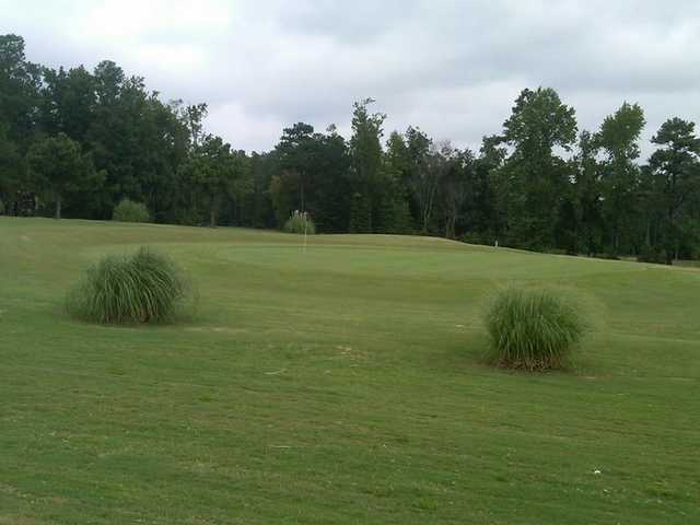 Bull Creek Golf and Country Club - photo 6