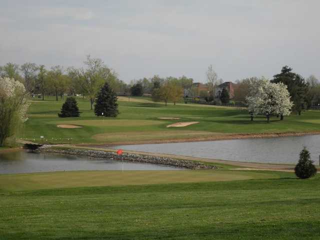 Lone Oak - photo 4