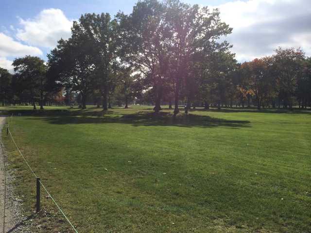 Wayland - photo 2