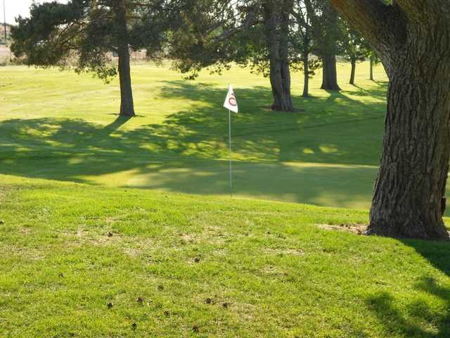 Columbia Park Golf Links & Driving Range - photo 3