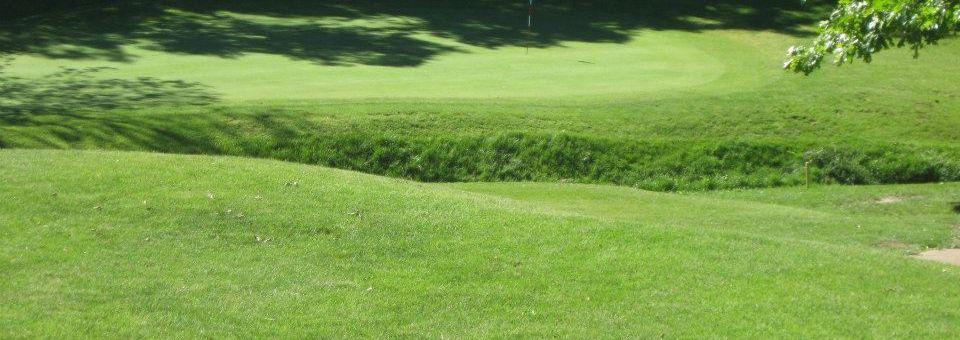 Indian Springs Golf Club - photo 4