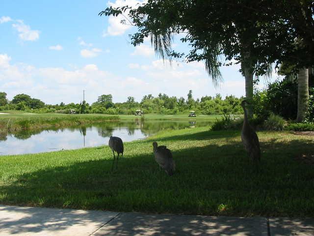 Kissimmee Bay Country Club - photo 1